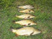 IMG_2045.jpg