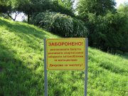 Изображение.jpg