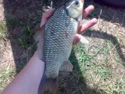 29052009838.jpg