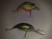 29052009237.jpg