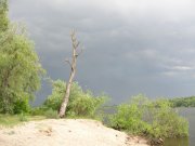 DSCN5293.JPG