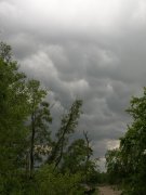 DSCN5296.jpg