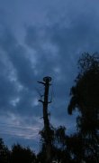 DSCN5308.JPG