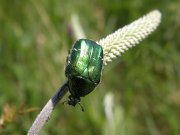 P5300027.JPG