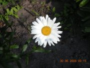 Изображение 052.jpg