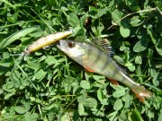 DSC00334.JPG