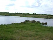 DSC00336.JPG