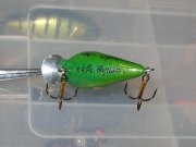 DSCN5416.jpg