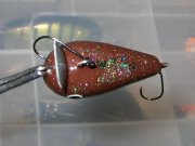 DSCN5420.jpg