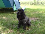 PIC_0772.JPG