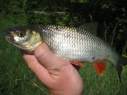 IMG_1432.jpg