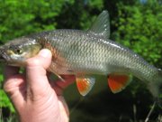 IMG_1430.jpg