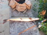 IMG_8621_1.JPG