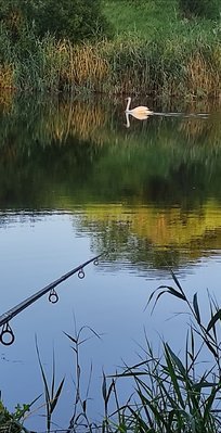 IMG_20210630_140918.jpg