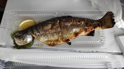IMG_20210708_165604.jpg