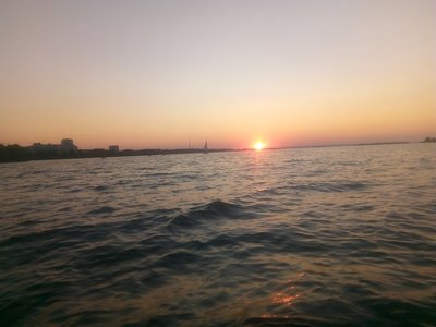 IMG_20210710_204815.jpg