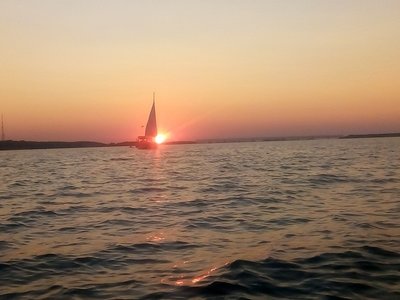IMG_20210710_205004.jpg