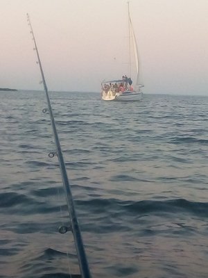 IMG_20210710_205325.jpg