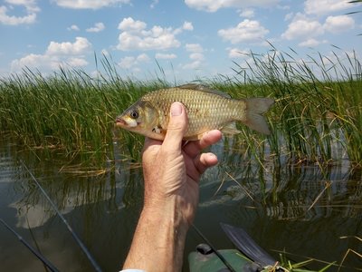 IMG_20210711_130803_1.jpg