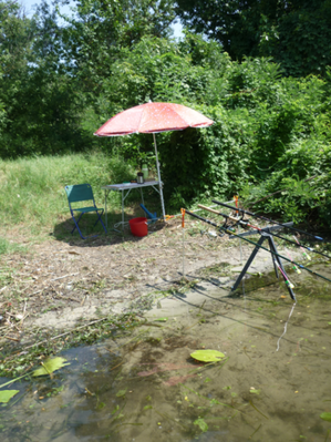 P1180169.png