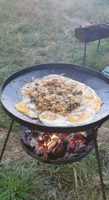 IMG_20210730_065831.jpg
