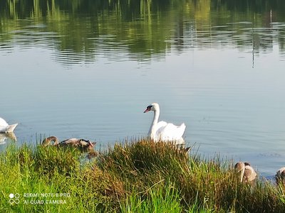 IMG_20210801_195659[1].jpg