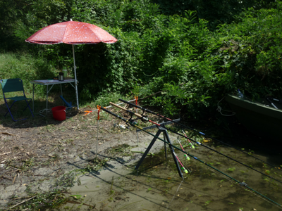 P1180170.png