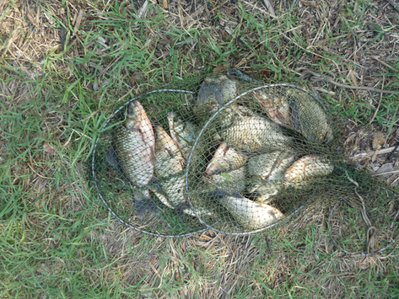 P1180173.png