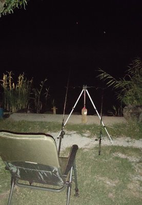 IMG_20210812_191923.jpg