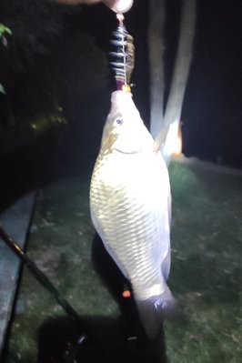 IMG_20210812_191901.jpg