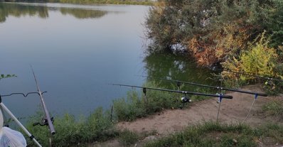IMG_20210819_224231.jpg