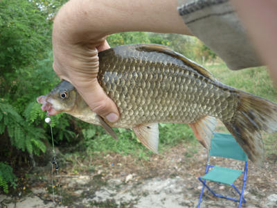 P1180189.png