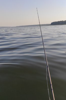 IMG_20210829_151606.jpg