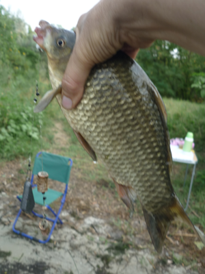 P1180188.png