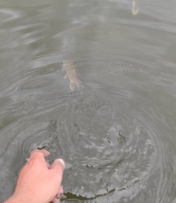 IMG_20210916_211015.jpg