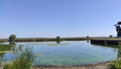 IMG_20210916_210915.jpg