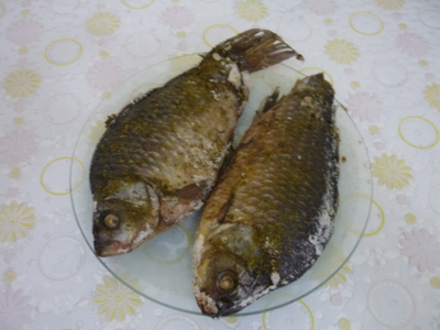 P1180211.png