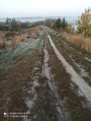 IMG_20211005_065612[1].jpg