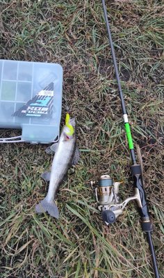 IMG_20211015_185653.jpg