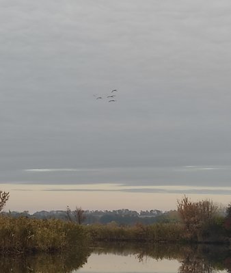 IMG_20211015_185522.jpg