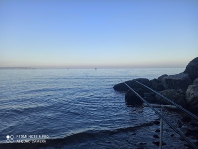 IMG_20211015_081233[1].jpg