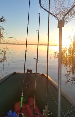 IMG_20211020_194256.jpg