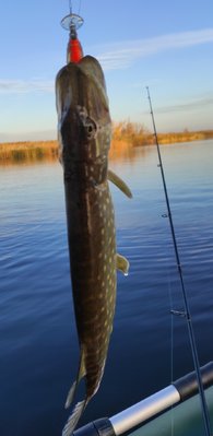 IMG_20211020_194359.jpg