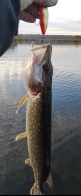 IMG_20211020_194450.jpg