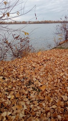 IMG_20211023_153057 - копия.jpg