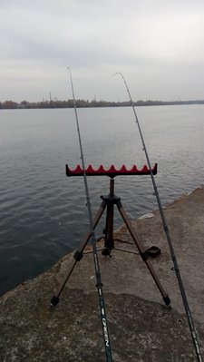 IMG_20211023_140449.jpg