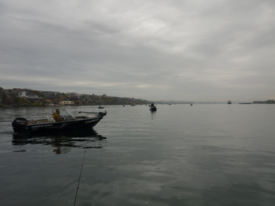 P1180266.png