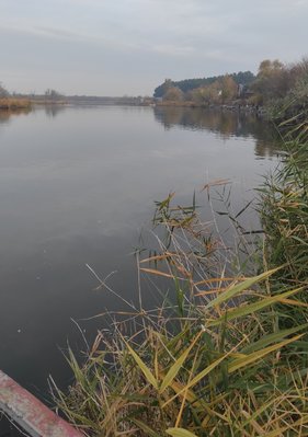 IMG_20211028_195929.jpg