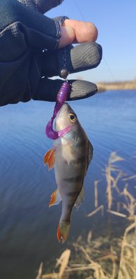 IMG_20211031_163431.jpg