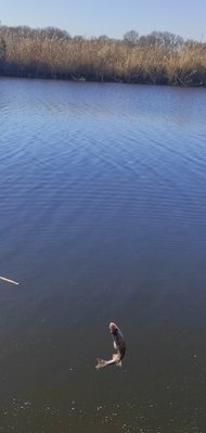 IMG_20211031_163625.jpg